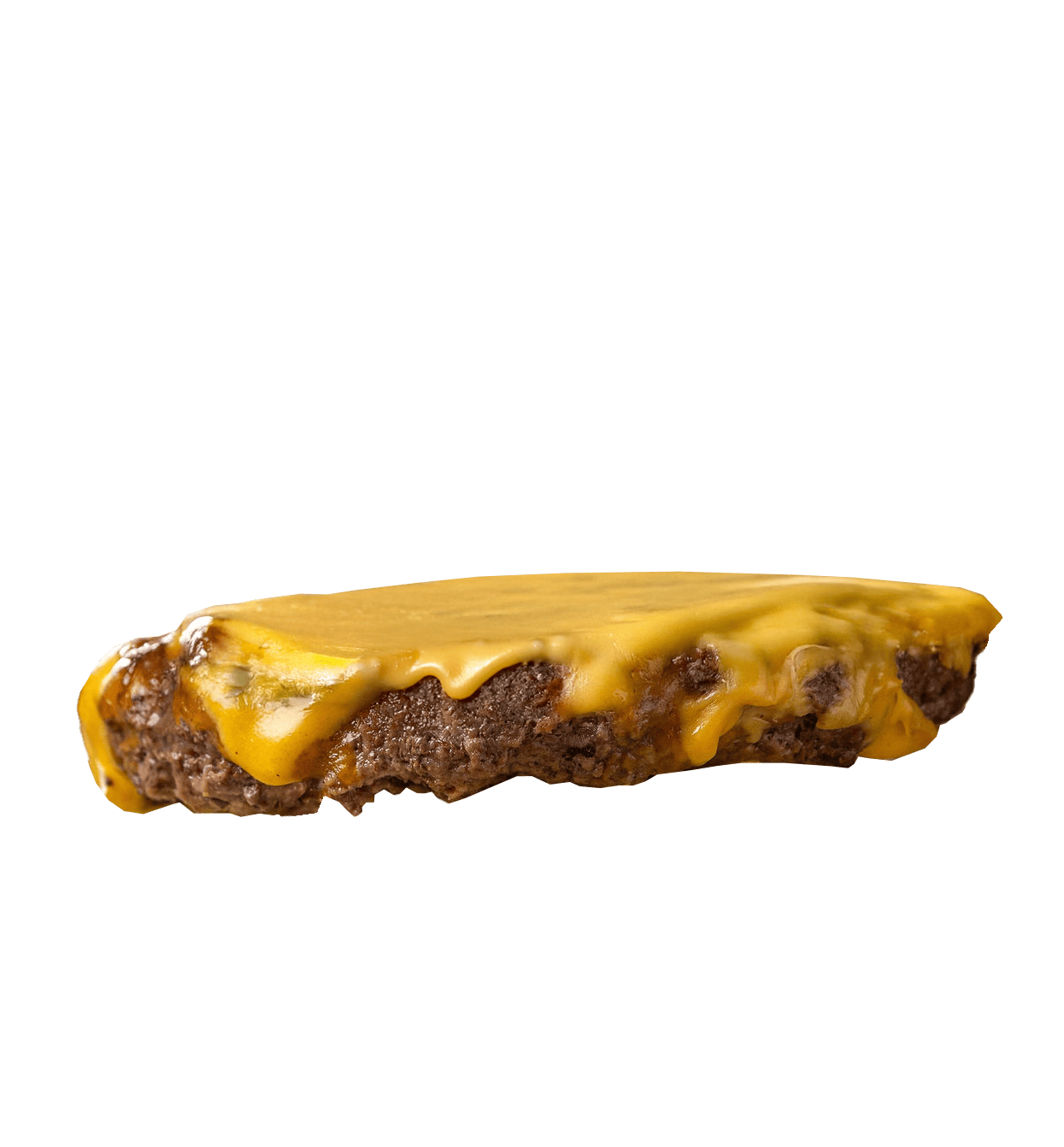 parte de hamburguesa 2