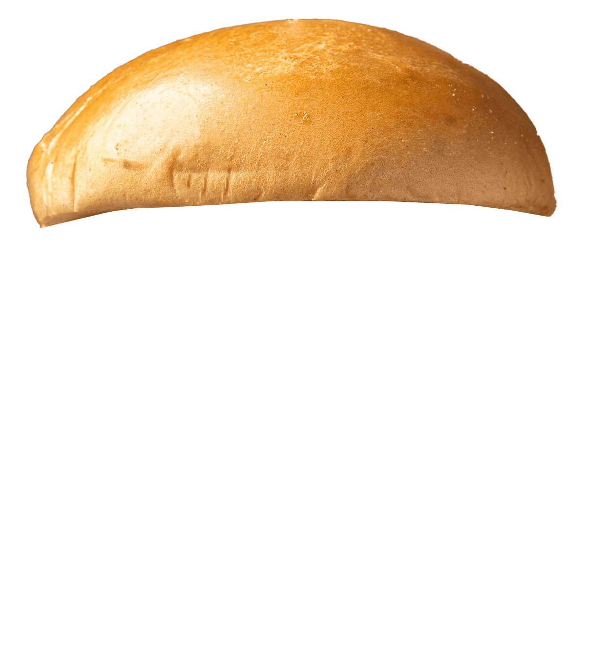 parte de hamburguesa 6